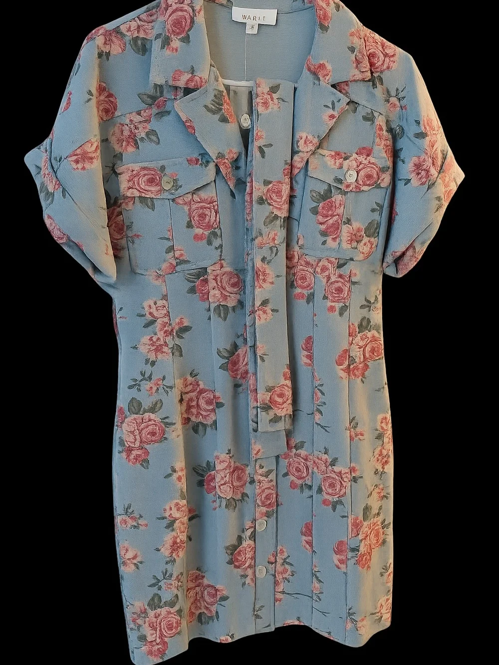 Mable Floral Button-Front Denim Dress - Picture 1 of 4